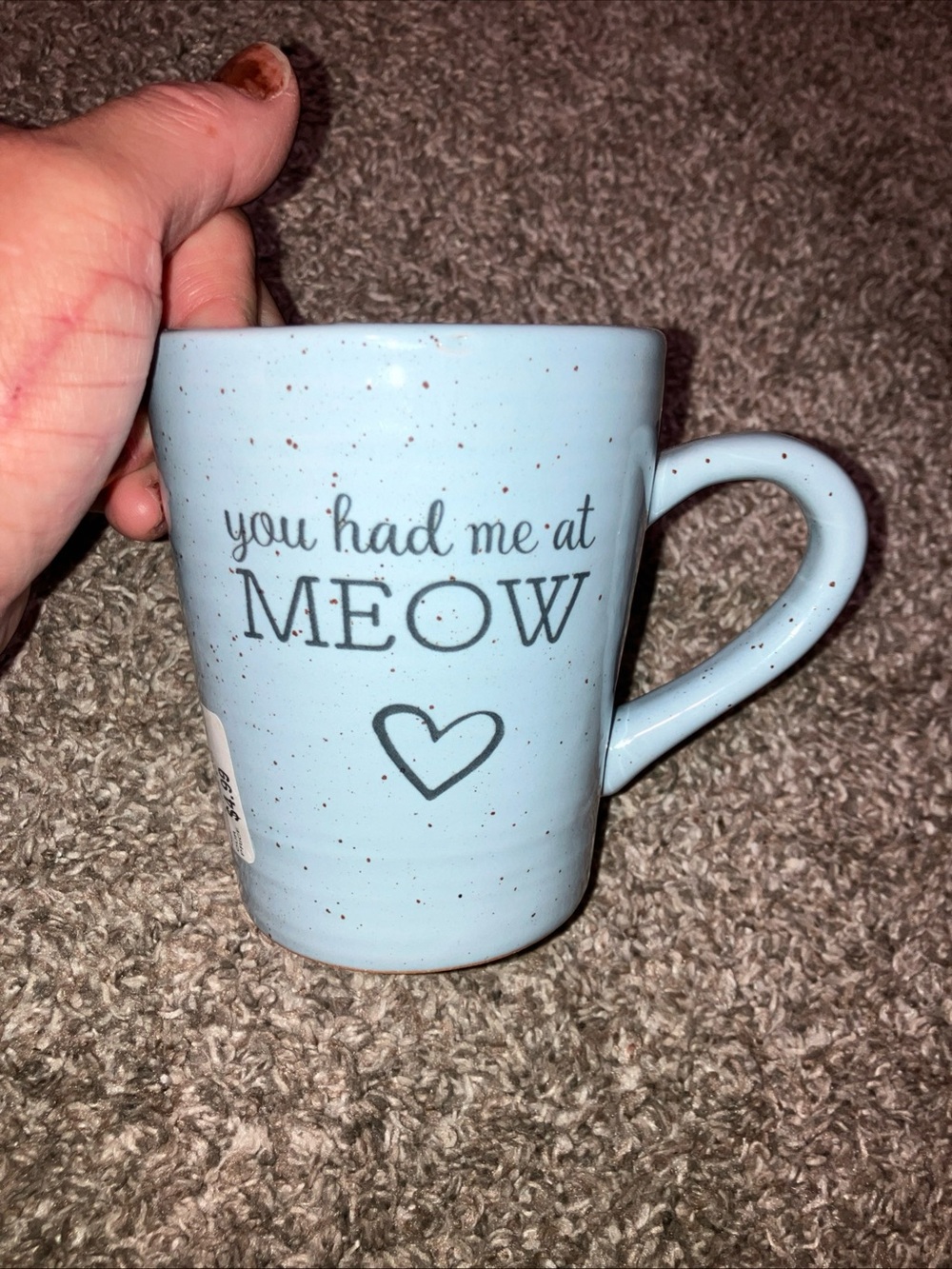 You Had Me at Meow Light Blue Ceramic Mug